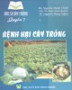 Ebook Bác sĩ cây trồng (Quyển 7 - Bệnh hại cây trồng): Phần 2