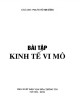 Ebook Bài tập Kinh tế vi mô: Phần 2