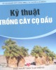 Ebook Kỹ thuật trồng cây cọ dầu: Phần 2