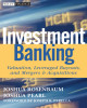 Ebook Investment banking: Valuation, leveraged buyouts, and mergers and acquisitions - Part 2