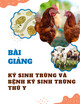 Bài giảng Ký sinh trùng và bệnh ký sinh trùng thú y