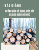 Bài giảng Hướng dẫn sử dụng, bốc xếp và bảo quản gỗ mộc
