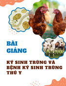 Bài giảng Ký sinh trùng và bệnh ký sinh trùng thú y