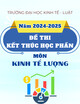 Đề thi học kì 1 kết thúc học phần Kinh tế lượng năm 2024-2025